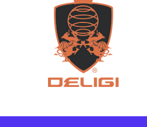 Deligi